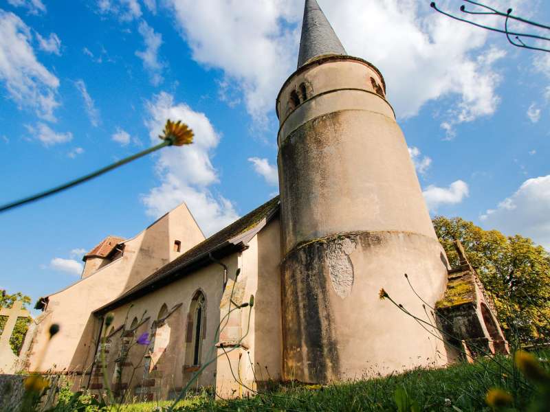 CTurpin_SarregueminesTourisme  Der Langenberg