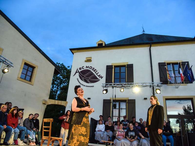 Sylvain Dessi RHINOCÉROS d’Eugène Ionesco - Festival de Théâtre de l’Arc Mosellan