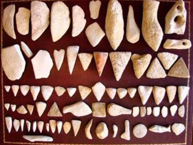 Musée Local de Faulquemont Musée local de géologie et archéologie de Faulquemont