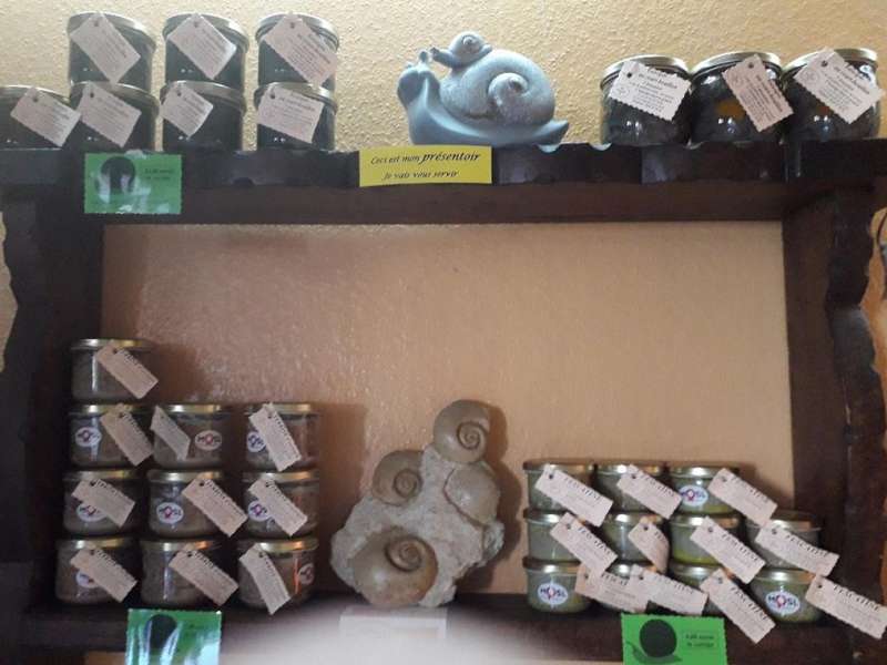 Mme Christophe  L'escargot dans la prairie