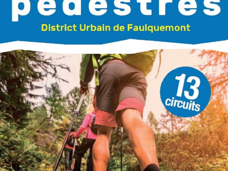 DUF  Circuit Faux en forêt