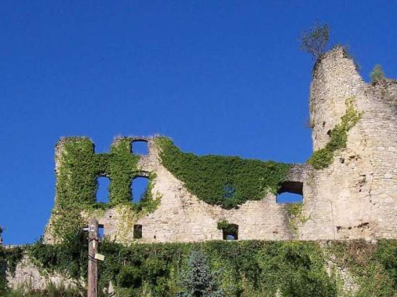 Françoise Massing  Ruinen der Burg Frauenberg