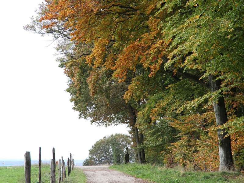 Autrement Vu  DIE RÖMERSTRAßE