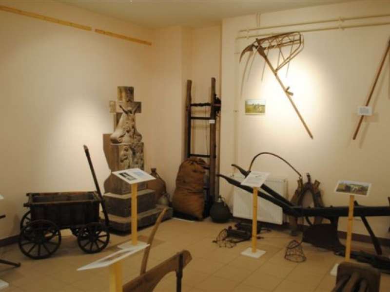 SHAG MUSEUM VON GROSBLIEDERSTROFF