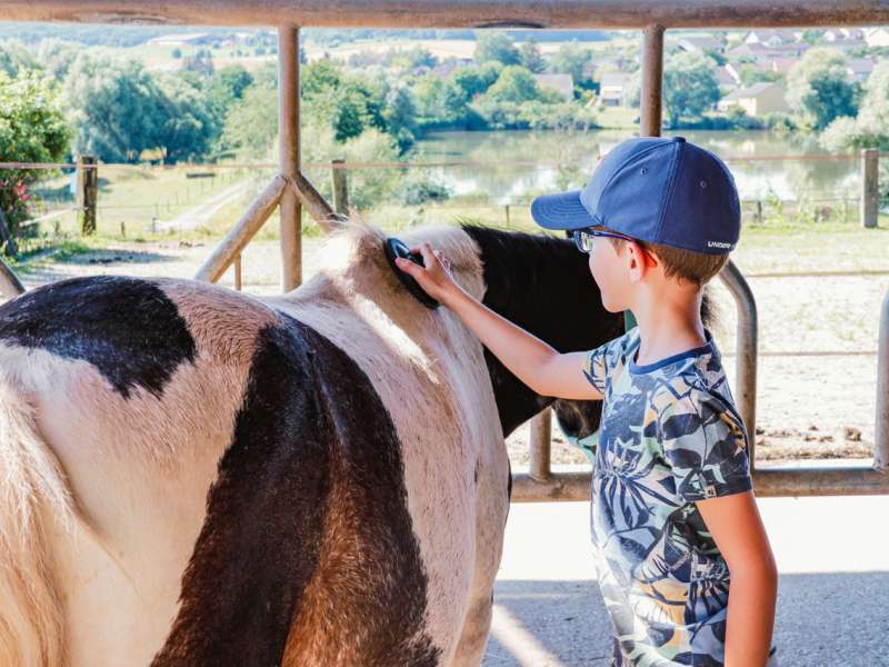 JLauer-SarregueminesTourisme Balade à poneys - Élevage Del Navajo