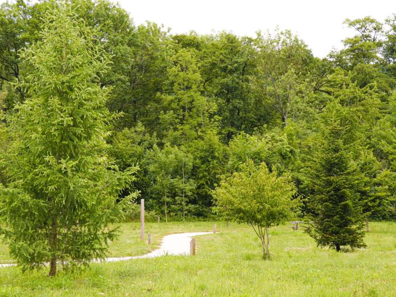 ESiest - Sarreguemines Tourisme  ARBORETUM IN BLIES-GUERSVILLER