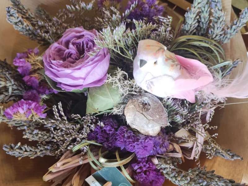 Laurène Rang La petite fougère