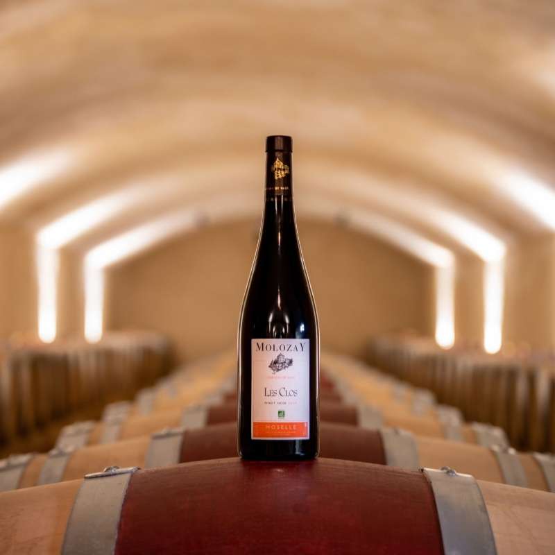 CI Photos Château de Vaux - Weinberge Molozay