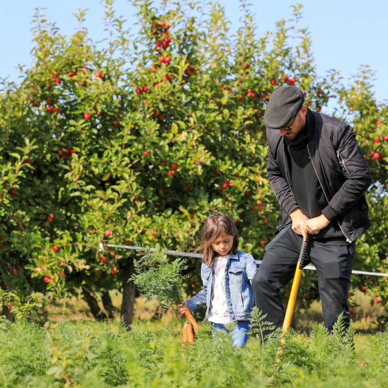 Studio Hussenot  Cueillette de Peltre