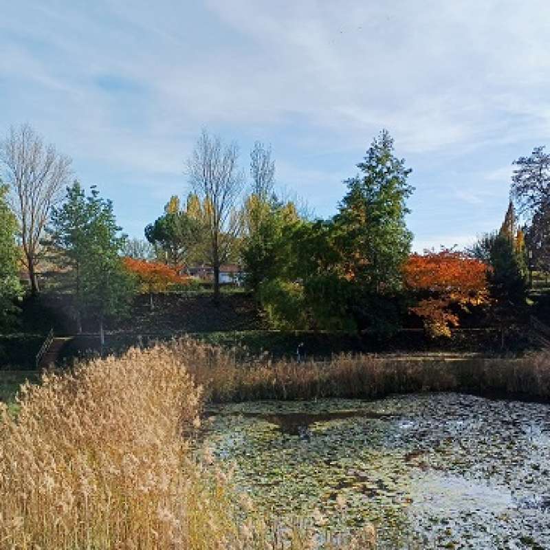 Service communication/Mairie de Montigny-lès-Metz Garten vor Blory