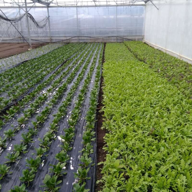 Les Jardins du Val de Moselle  Die Gärten des Moseltals