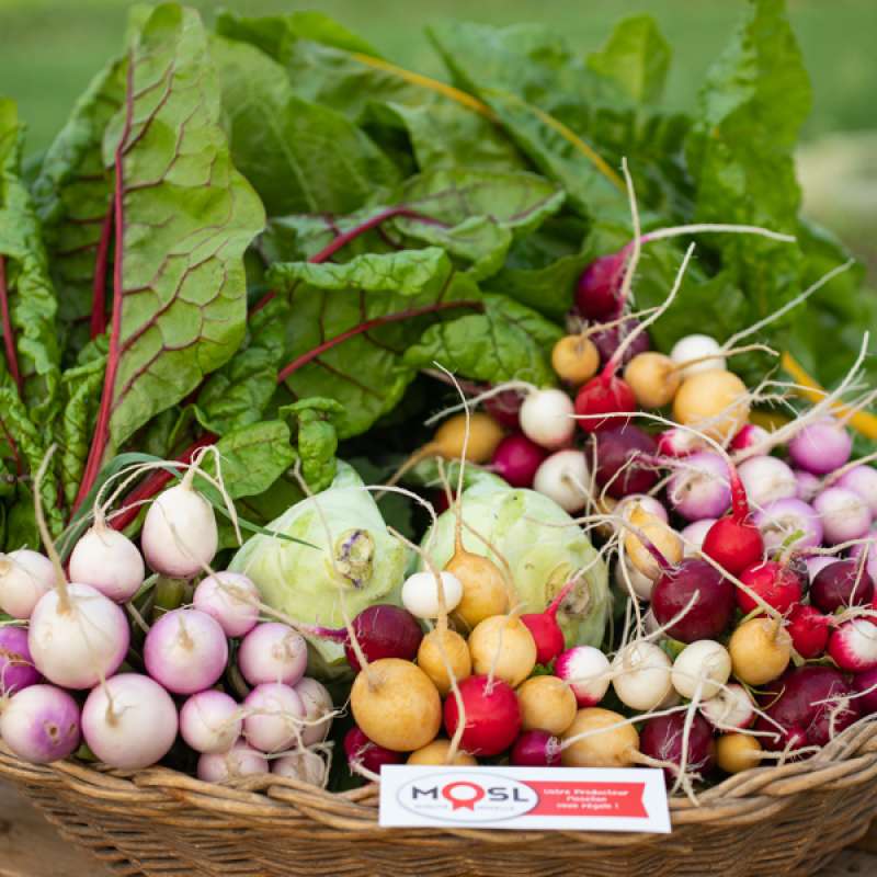 Laetitia Lhermite La ferme de Domangeville