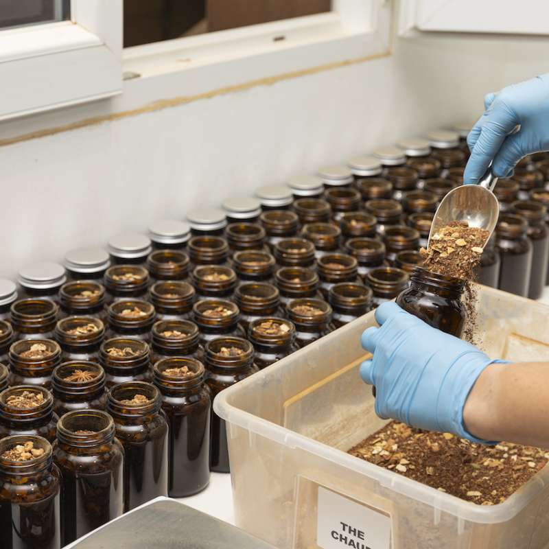 Laetitia Lhermite Greenma