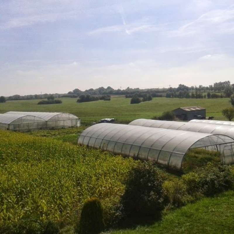 Les Jardins de Guenviller Les jardins de Guenviller