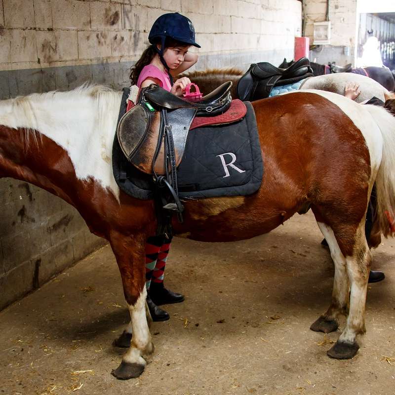 Ville de Thionville S.Thévenin Centre équestre de Thionville et Cattenom