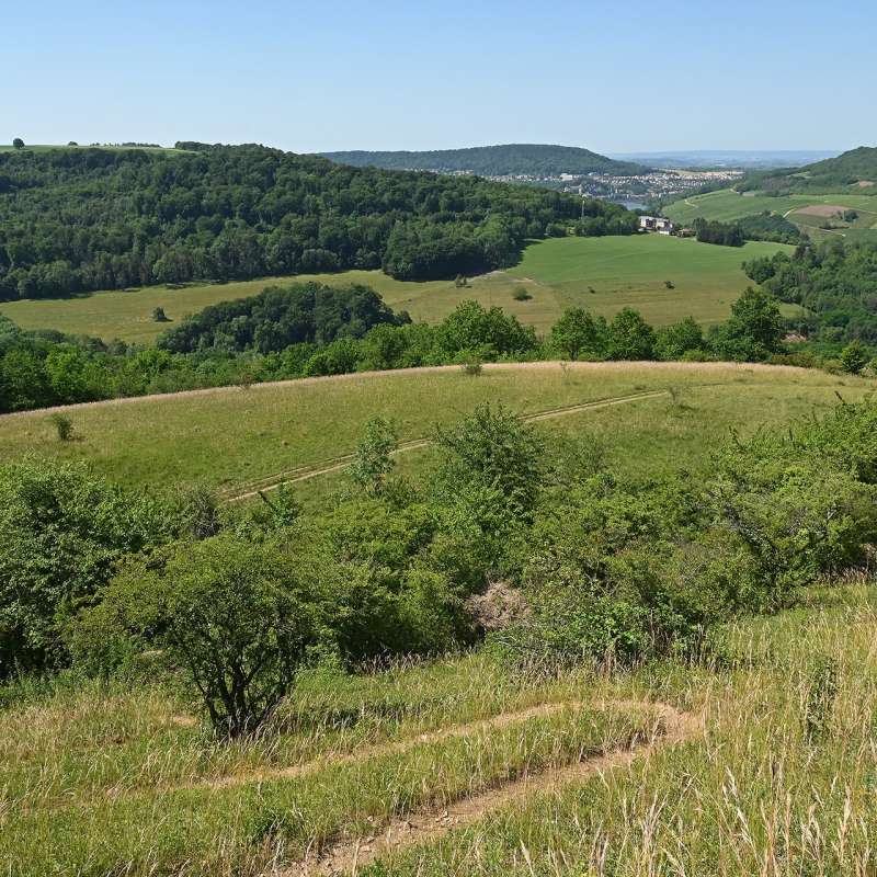 Jean Jacques Weimerskirch Pelouses calcaires d'Apach et de Merschweiller