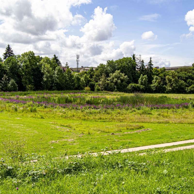 Julie Moritz - Trois Frontières Tourisme Nied Park
