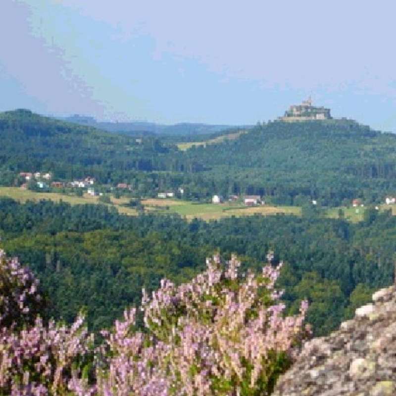 Gîte BELLE VUE Meublé de tourisme La Belle Vue