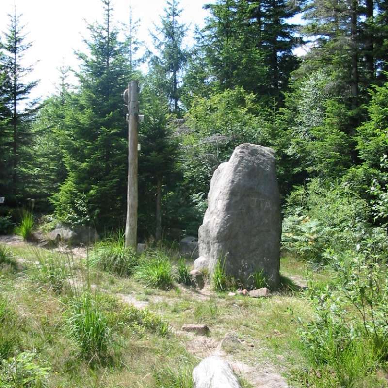 Pays de Phalsbourg Tourisme  Menhir le Sattelfels