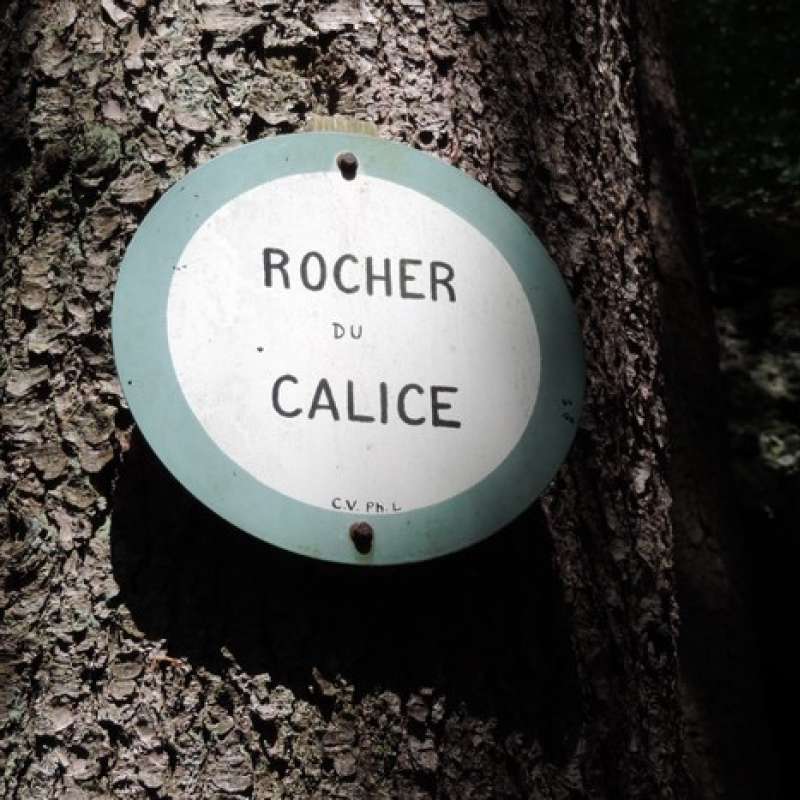 Pays de Phalsbourg Tourisme  Rocher du Calice