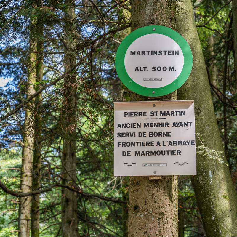 Patrice BUCHER  Borne Saint-Martin