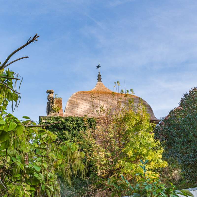 Patrice BUCHER – OT du Pays de Phalsbourg  Porte de France