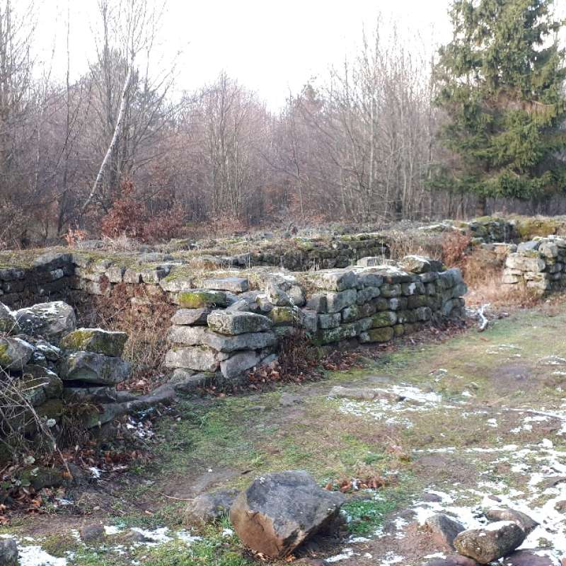 Pays de Phalsbourg Tourisme  Vestiges gallo-romains du Wasserwald