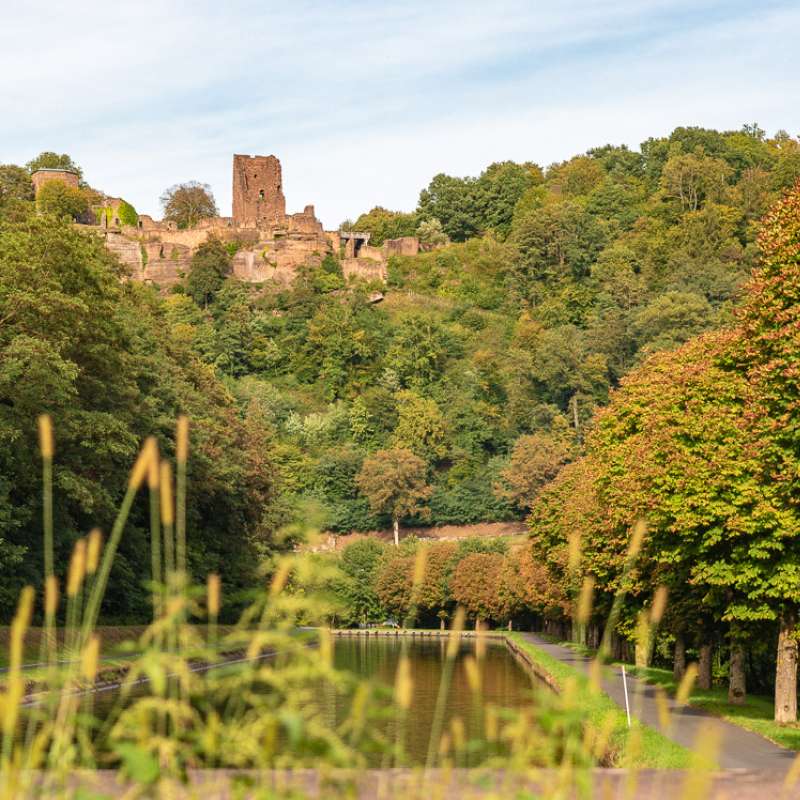 OT Pays de Phalsbourg - Patrice Bucher Château de Lutzelbourg