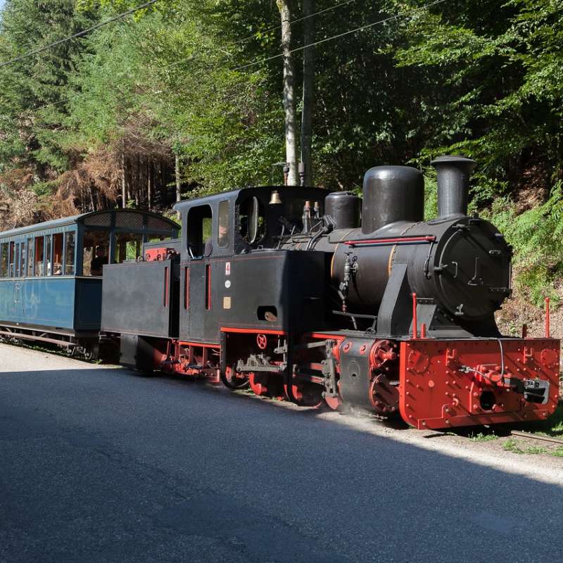 TSMS  Chemin de fer forestier - Waldeisenbahn