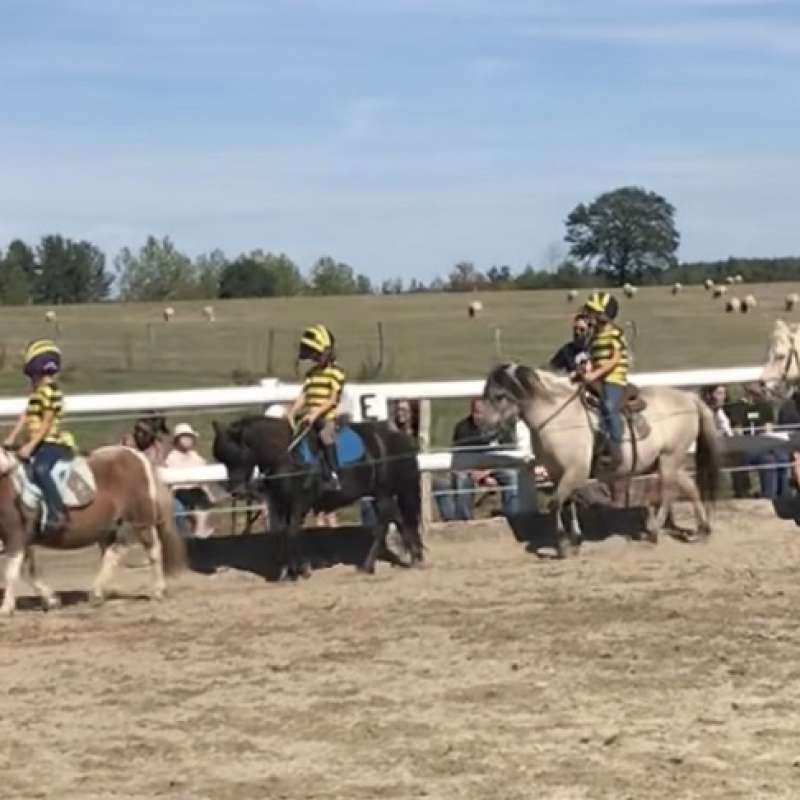 Nadège Koestler Domaine équestre du Jardinot