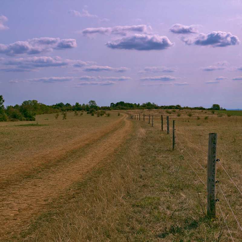 Emmanuel Stourm 2020
Licence Open Data  Côte de Delme