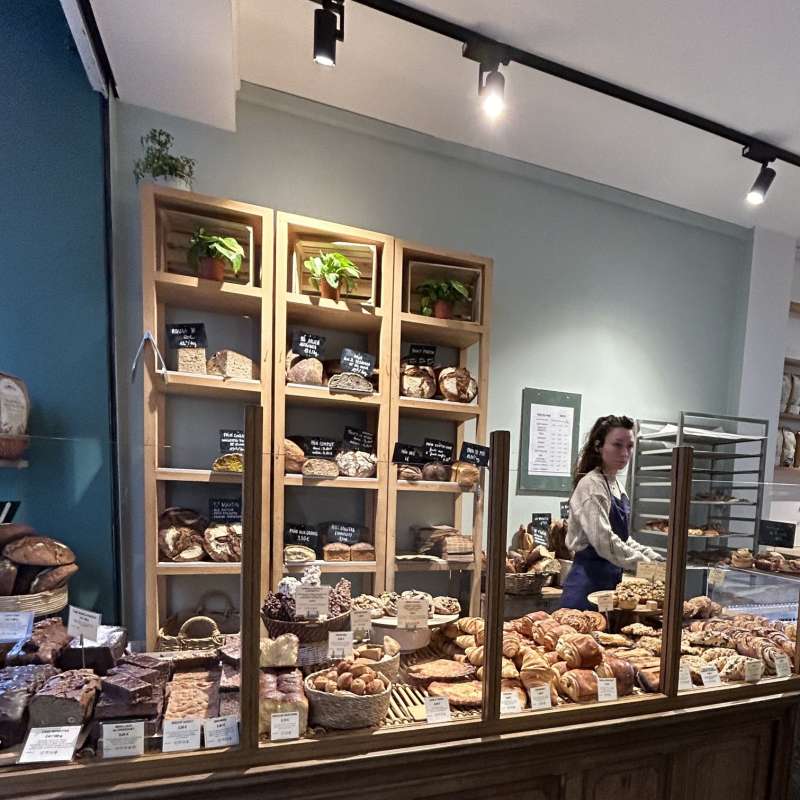 Madame Pain Madame pain