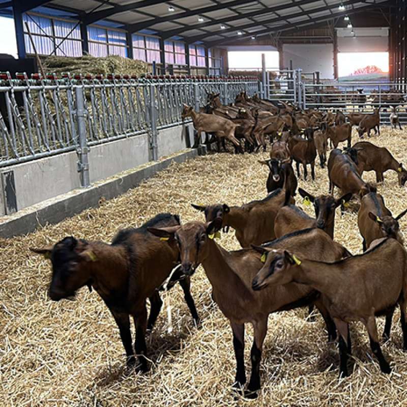 Ferme des Ensanges Ferme des Ensanges