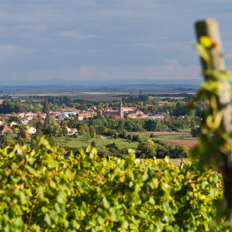 Office du Tourisme du Saulnois Weinstraße der Mosel - Pays Messin