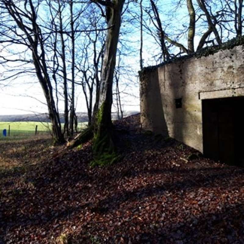 Office de tourisme Saint-Avold Coeur de Moselle  Point d'appui fortifié de Macheren