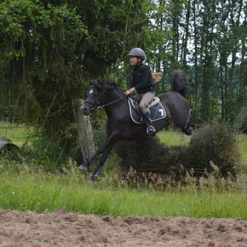 Ecole équitation Saint-Avold École d'équitation de Saint-Avold
