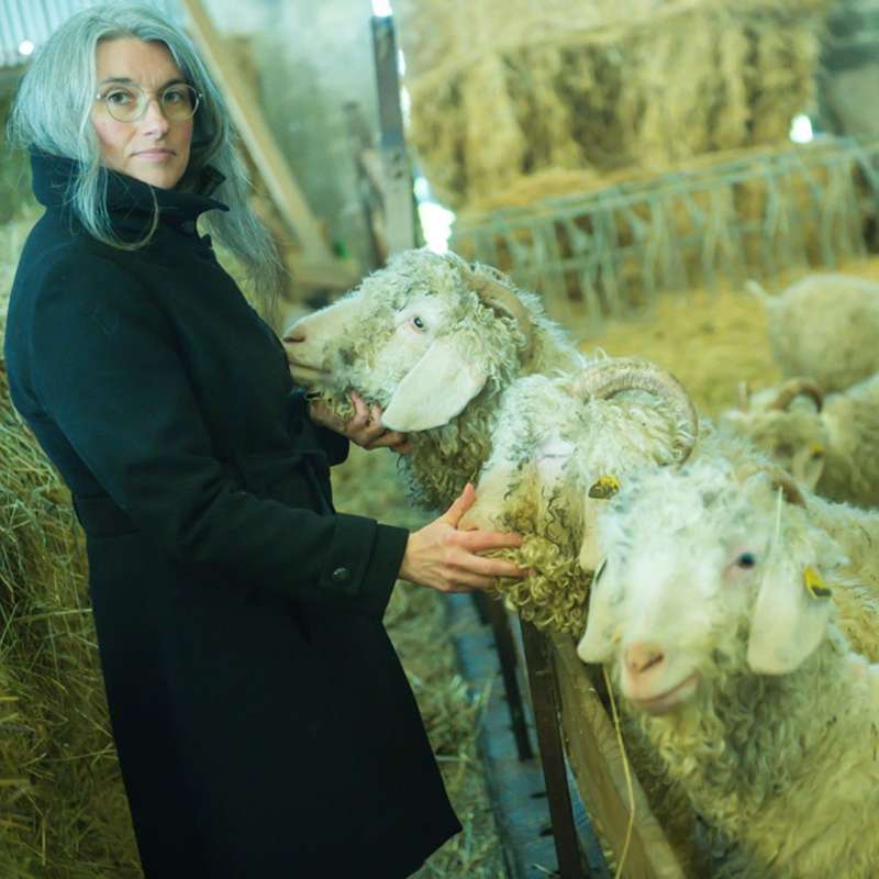 Gilles Dorschner  La vie en mohair