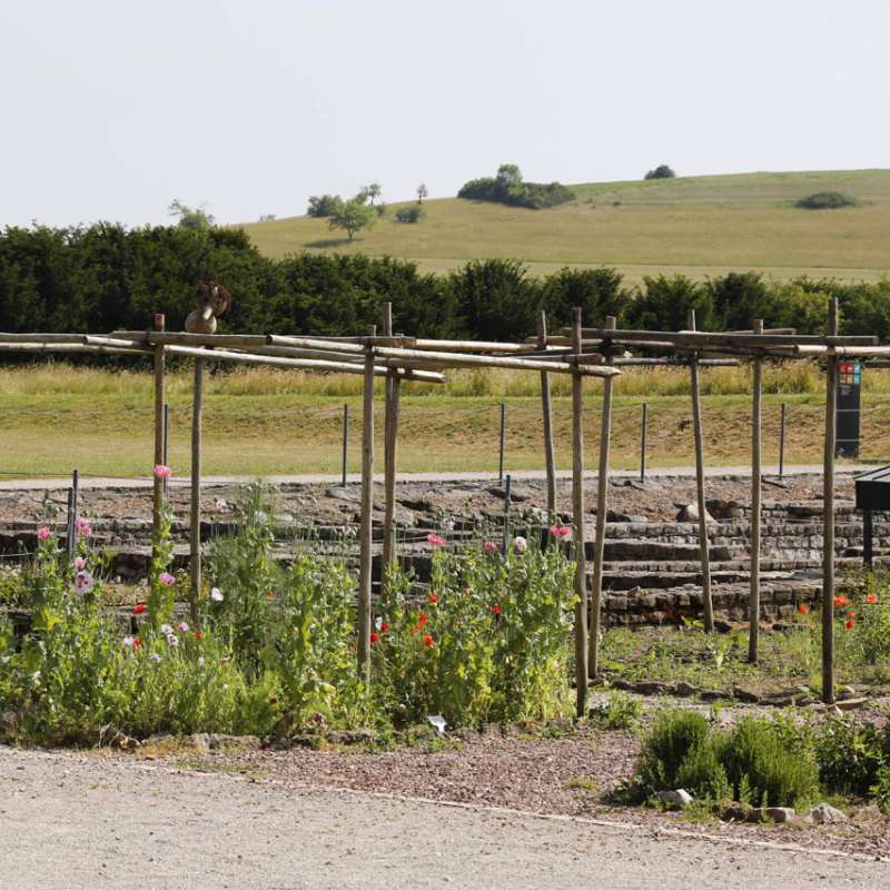 Gilles Pecqueur DER GALLO-RÖMISCHE GARTEN