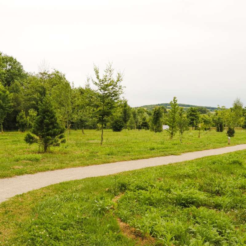 ESiest - Sarreguemines Tourisme  ARBORETUM IN BLIES-GUERSVILLER
