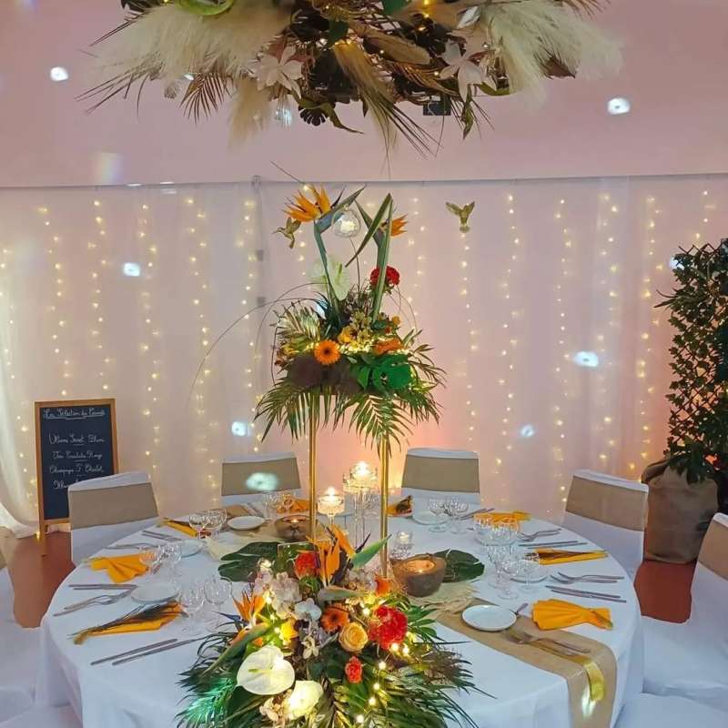 Laurène Rang La petite fougère