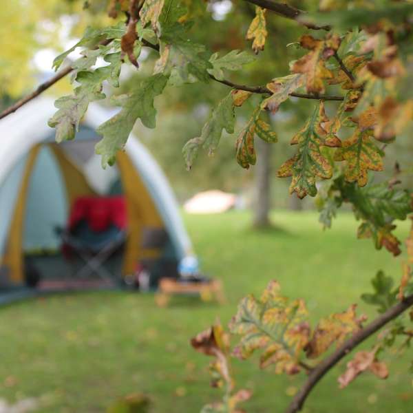 Camping le paquis