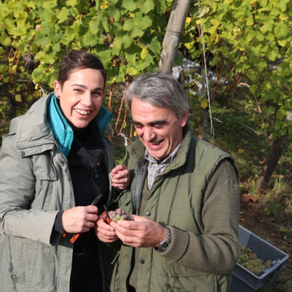 Domain Mur du Cloître