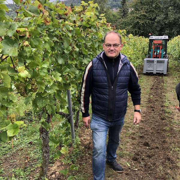Domaine Sontag