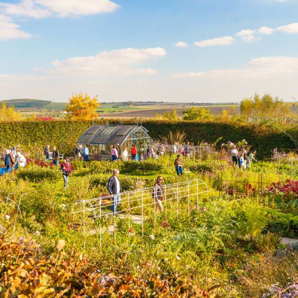 The Laquenexy Fruit Gardens