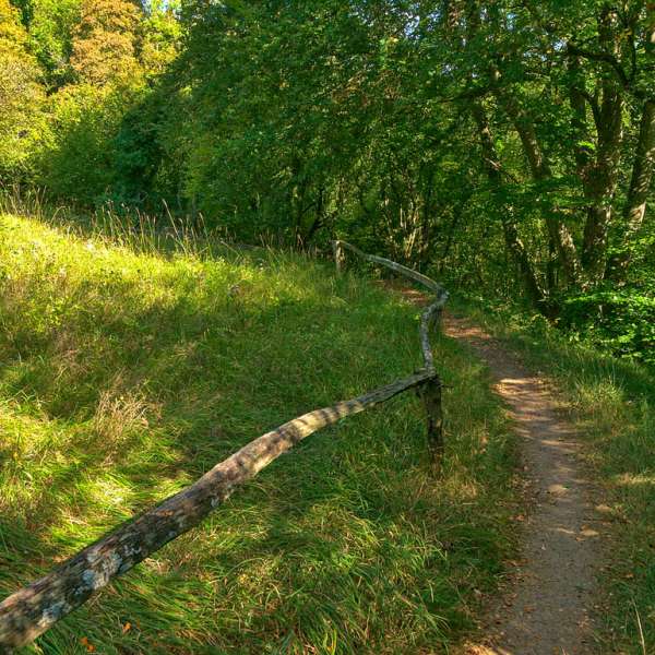 Montenach National Nature Reserve
