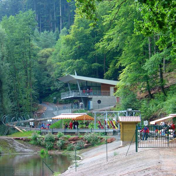 Luge alpine coaster