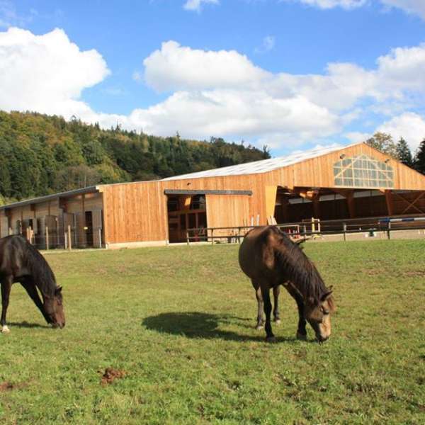 Equestrian farm Balzanes