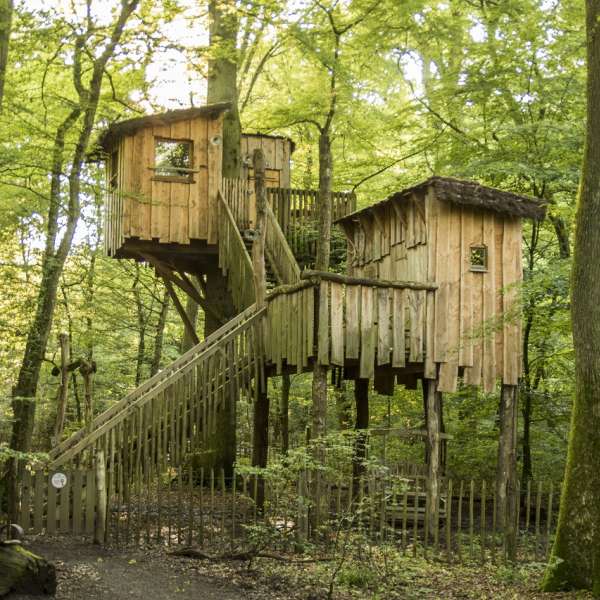 Hébergement insolite - Cabane d'Ysengrin