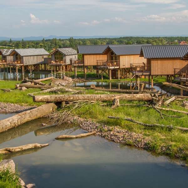 Hébergement insolite - Lodges des Ours Noirs