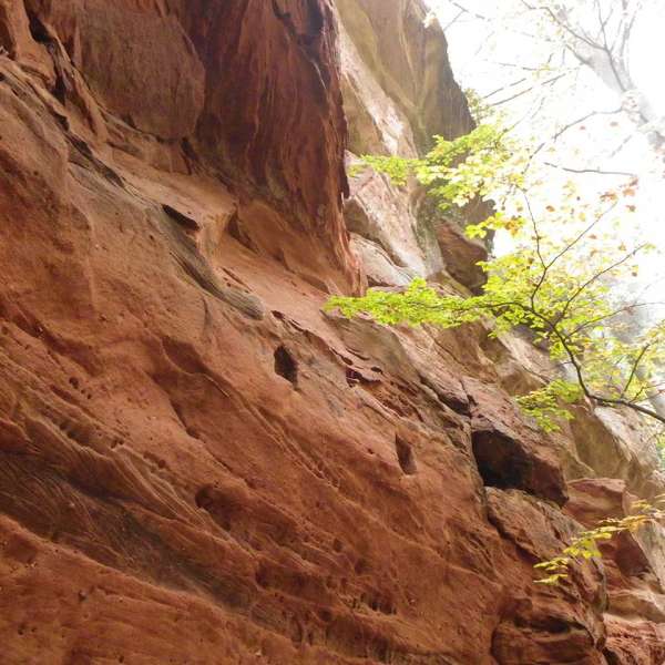 Grand Arnsbourg Castle